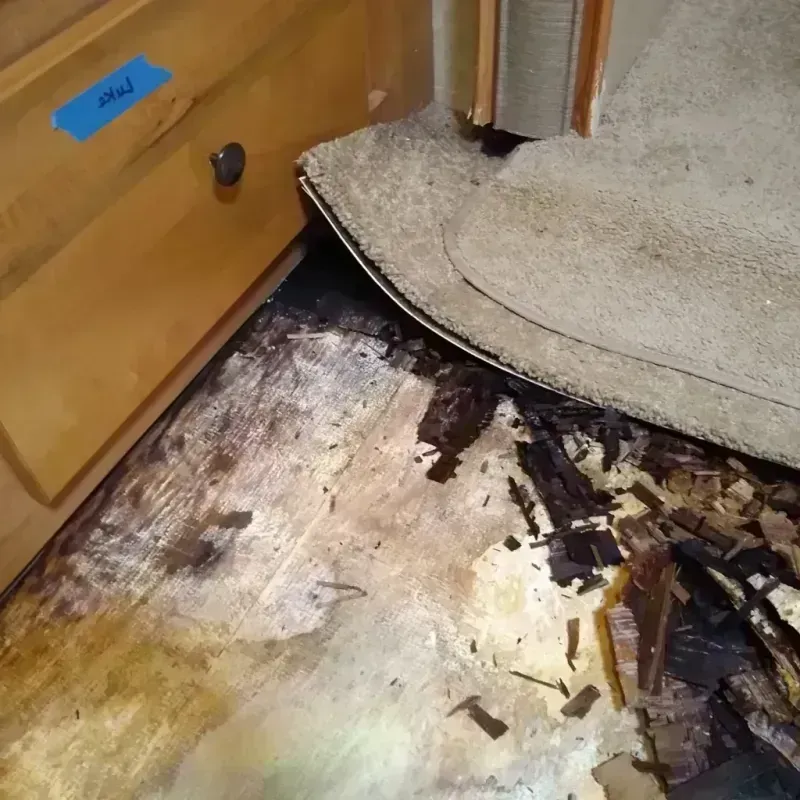 Best Wood Floor Water Damage Service in Bayou La Batre, AL